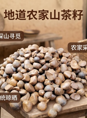山茶籽微景观铺设玄关摆件配饰