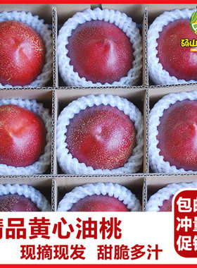 砀山油桃新鲜桃子现摘黄心油桃