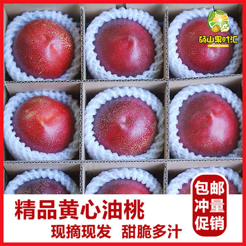 砀山油桃新鲜桃子现摘黄心油桃