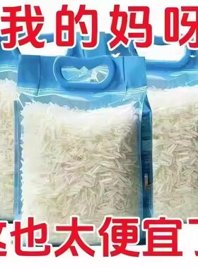 【长粒猫牙米10/5斤】当季新米长粒香米猫牙米南方晚稻籼米丝苗米