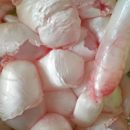 鱼泡新鲜冷冻冰鲜淡水鱼鱼籽正宗胖头鱼500g白鲢鱼鳔鱼胶鲤鱼鱼杂