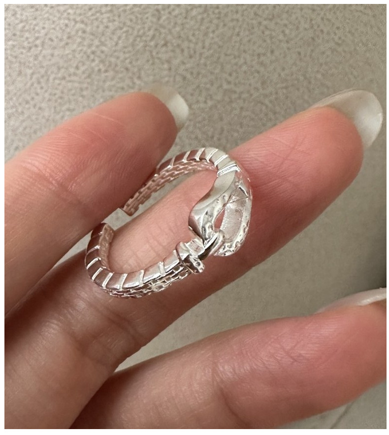 东大门S925纯银小众设计感U型时尚戒指简约时髦个性马蹄扣指环