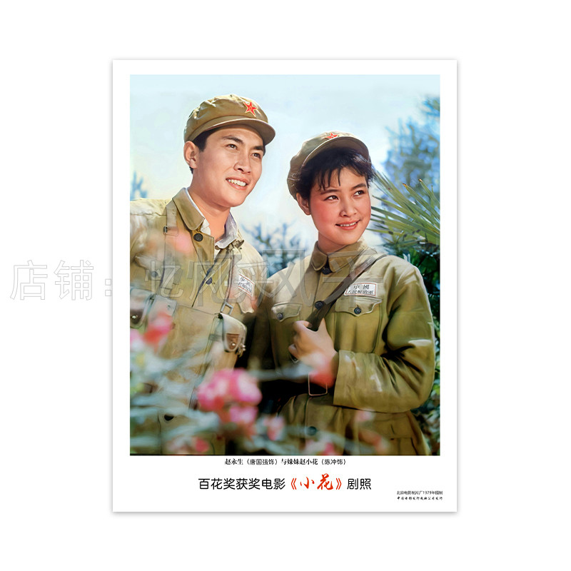 电影小花剧照高清怀旧电影海报经典文艺书房客厅装饰画挂画简约