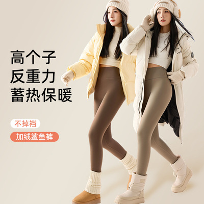 高个子鲨鱼裤女外穿春夏秋冬加长高腰加绒加厚瑜伽裤保暖打底裤