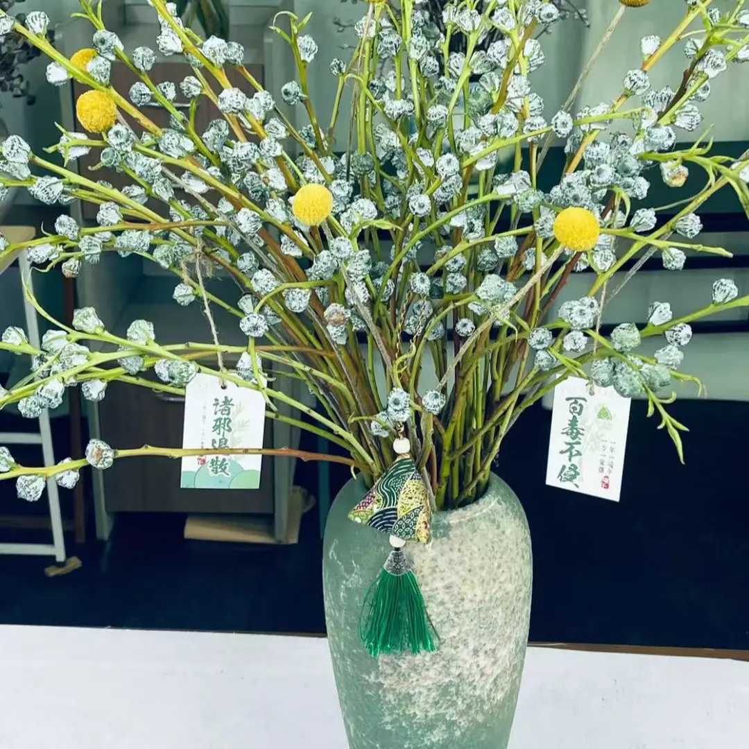 当季云南尤加利鲜切枝水养配花