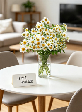 A级洋甘菊花材小雏菊水培花束白色清新自然家居摆件