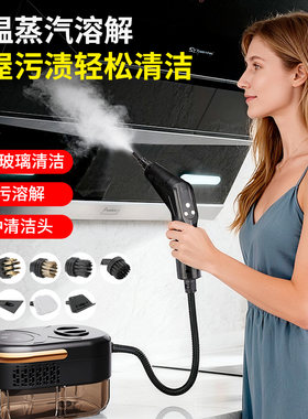 手持式高压高温蒸汽清洁器