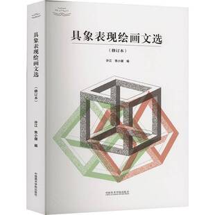 艺术书籍正版 具象表现绘画文选 许江