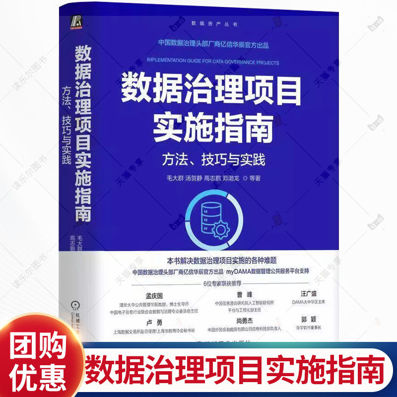 数据治理项目实施指南 方法 技巧与实践 毛大群 汤贺静 数据治理体系 数据治标准化 数据质量控制 数据管理技术书籍