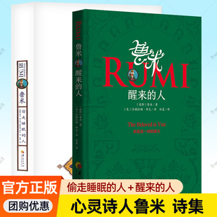鲁米 醒来的人+偷走睡眠的人全2册任选 心灵诗人鲁米诗集抒情诗 揭示爱的答案与真相 醒来的你就是一切的源头 诗歌文学