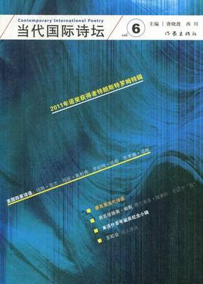 正版包邮 当代国际诗坛：6 唐晓渡 在驱逐犹太人之后 德国人来了 紧接着是一个残酷无情的新占领 文学理论书籍