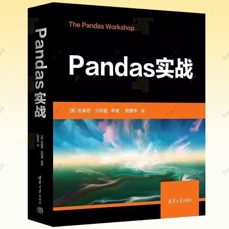 正版 Pandas实战 布莱恩.贝特曼 Pandas数据类型 数据选择 数据探索和转换 理解数据可视化 数据建模书籍 9787302663539