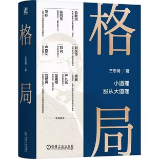 正版包邮  格局王志纲 小道理服从大道理 战略思想认知破局战略管理咨询案例 智纲智库企业经营管理