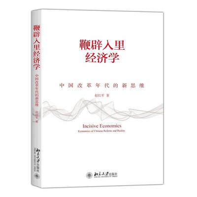 鞭辟入里经济学:中国改革年代的新思维:economics of Chinese reform and reality 赵红军 中国经济通俗读物   经济书籍正版