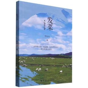 发菜 梵向山长篇小说中国当代小说书籍正版北方文艺出版社