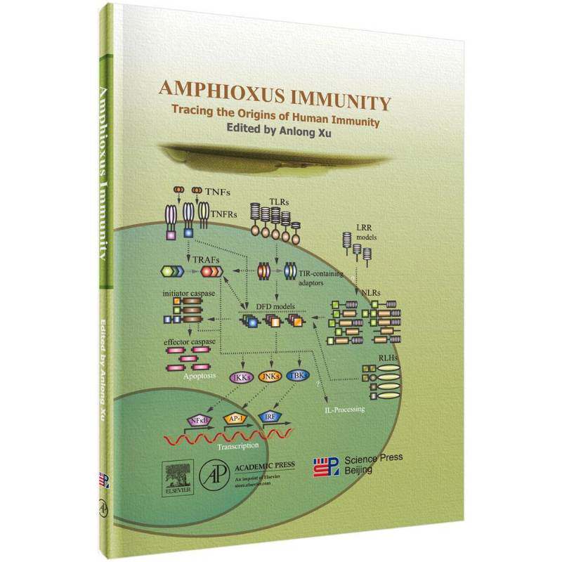 Amphioxus immunity:Tracing the origins of human immunity  文昌鱼免疫系统英文 农业、林业书籍科学出版社