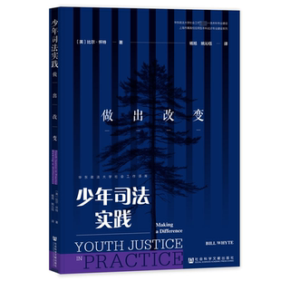 著 比尔·怀特 社会科学文献出版 社9787522830537 书 少年司法实践 专门关注在少年司法中通过循证提供服务 做出改变