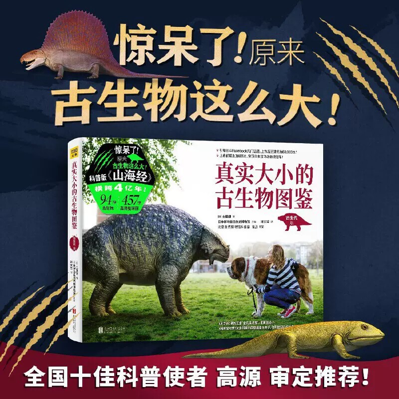 真实大小的古生物图鉴 94种古生物复原图 6亿多年前的古生物 日本科普绘本畅销书 古生物研究爱好者书 古生物图鉴 小学生课外阅读