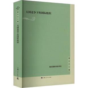 国际组织间合作与联合国和平行动 正版 伙伴战略与新型多边开发银行 朱杰进编 国际组织 全稿共收入论文17篇 郑宇 大国竞争下