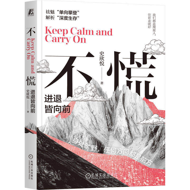 不慌进退皆向前 迷茫 成长 史欣悦 低谷 工作 财务独立 愿景 朋友圈 企业 员工 原则 安居平五路 改变 机械工业出版社书籍图片