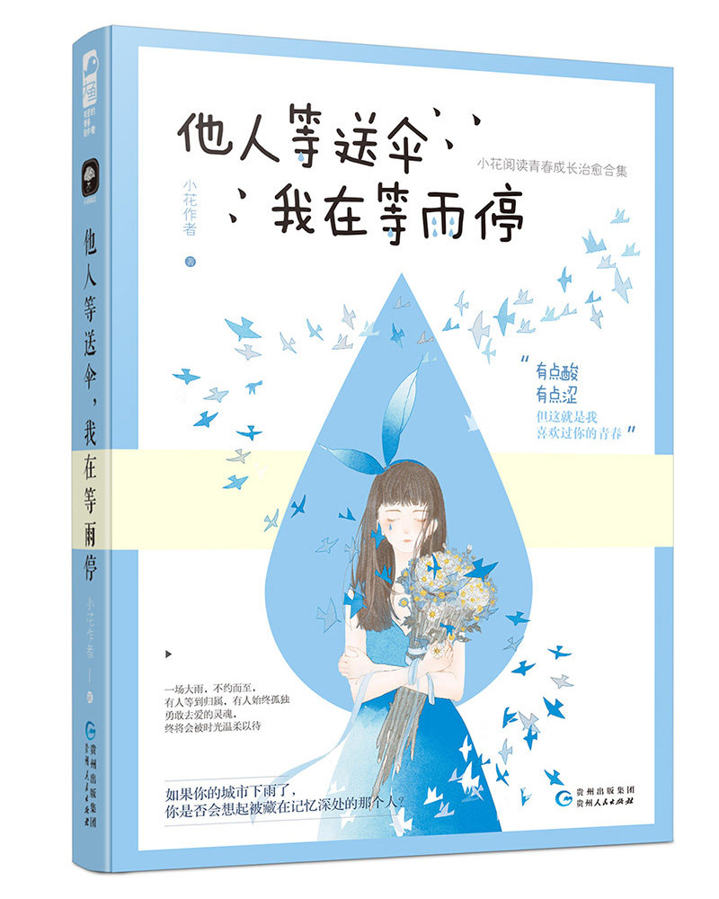 有点酸 有点涩 但这就是我喜欢过你的青春 贵州人民出版社 大鱼文化