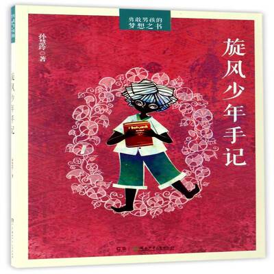 旋风少年手记 孙慧玲 儿童小说中篇小说中国当代 儿童读物书籍湖南少年儿童出版社