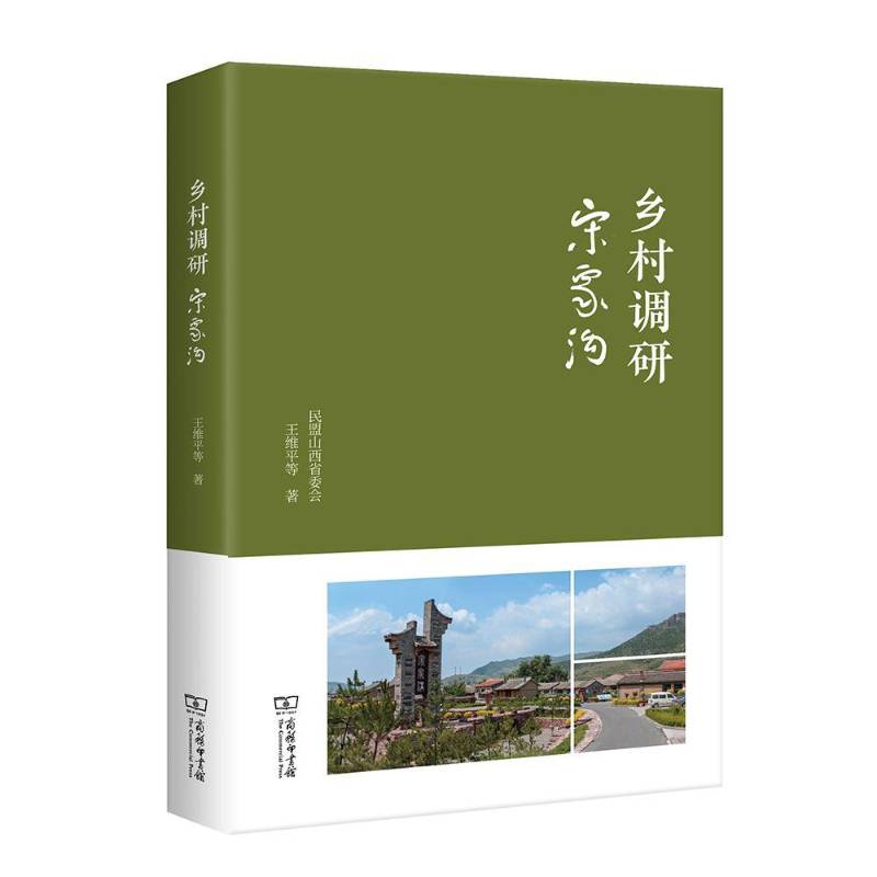 乡村调研：宋家沟 王维平等 农村调查报告岢岚县   经济书籍正版
