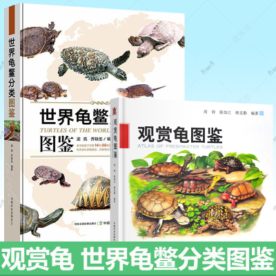 观赏龟图鉴+世界龟鳖分类图鉴