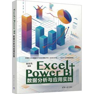 Excel+Power BI数据分析与应用实践 翁东风     计算机与网络书籍正版
