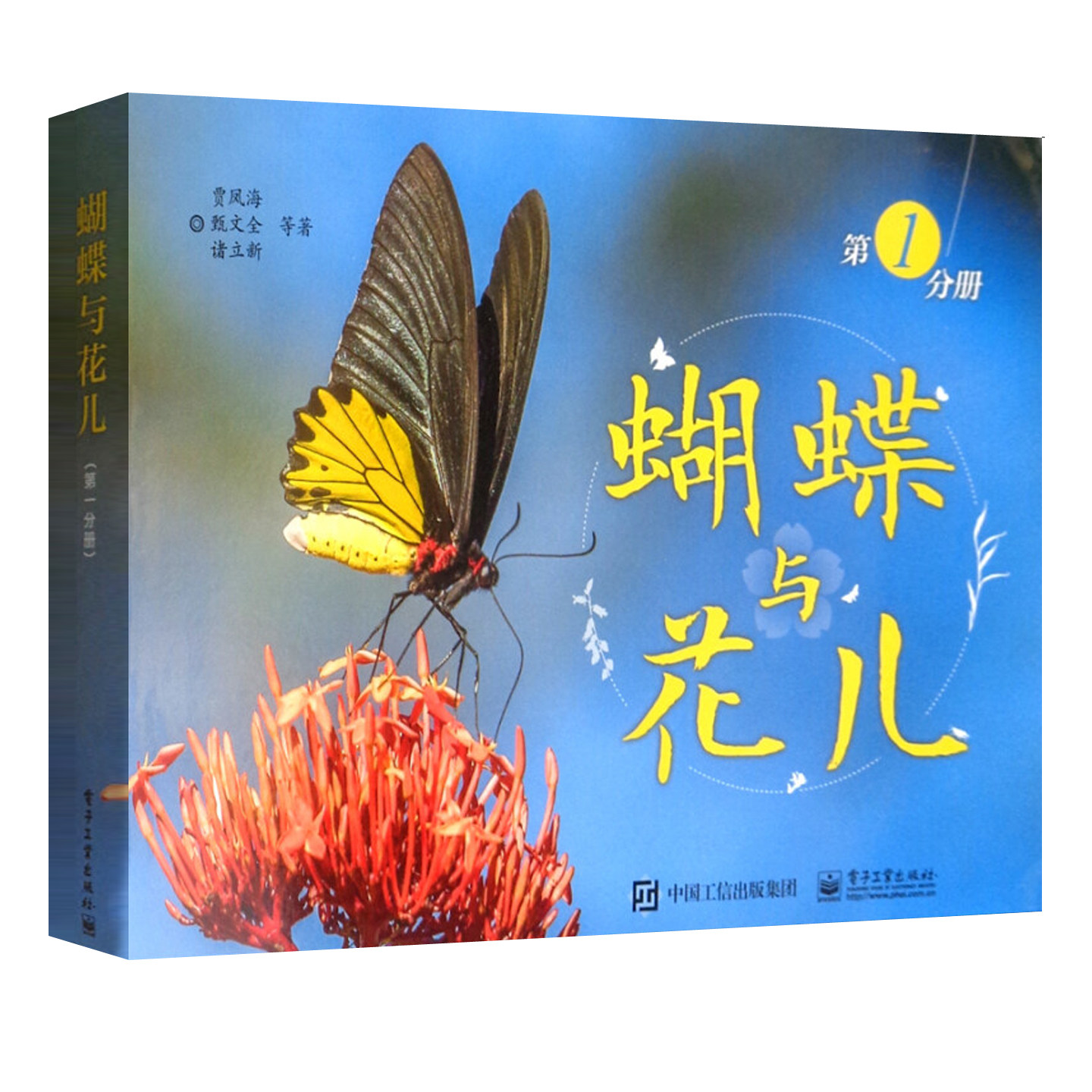 蝴蝶与花儿:1分册 关于蝴蝶的书特征分布地点种类识别凤蝶绢蝶粉蝶分类知识飞蛾图谱图册图鉴科普读物昆虫百科书籍