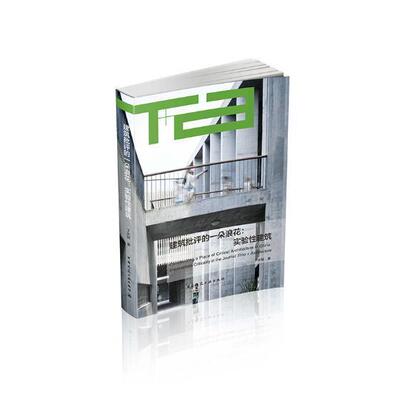 建筑批评的一朵浪花:实验性建筑 丁光辉 建筑艺术艺术评论中国 建筑设计人员\管理人员 建筑书籍正版