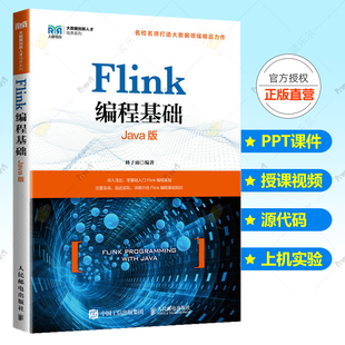 正版 Flink编程基础 Java版 林子雨 大数据创新人才培训Flink原理入门与实战基础知识 Flink编程实践程大数据课程 Flink教程书籍