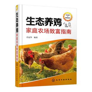 鸡场日常饲养管理饲料保障疾病防控 掌握养鸡关键技术 养鸡技术人员专业养鸡户和养鸡企业参考书 肖冠华 生态养鸡家庭农场致富指南