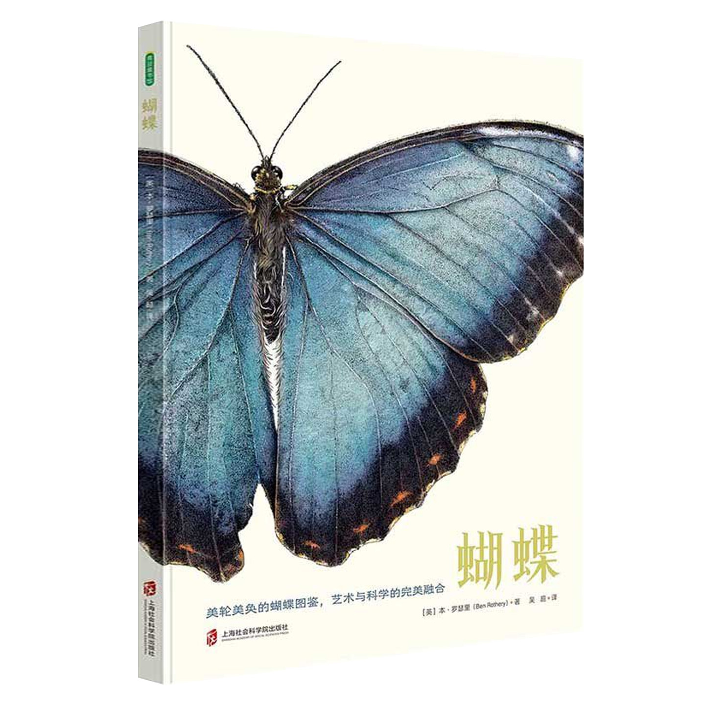 蝴蝶 本·罗瑟里 关于蝴蝶的书特征分布地点知识飞蛾图谱图册图鉴科普读物自然科学启蒙昆虫百科书籍