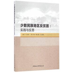 经济书籍正版 少数民族民族地区扶贫研究中国 王文长 少数民族地区反贫困：实践与反思