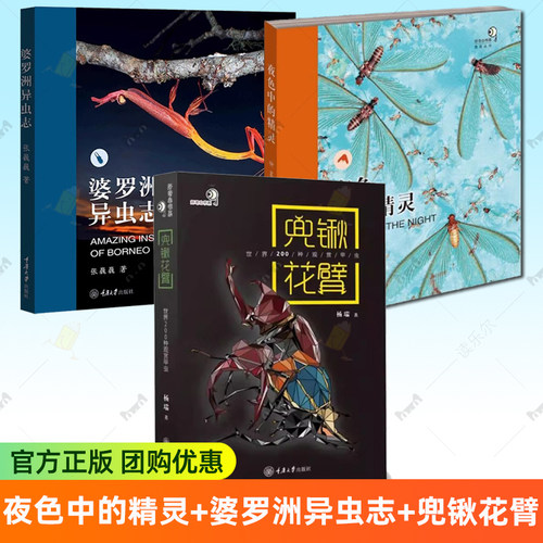 夜色中的精灵+婆罗洲异虫志+兜锹花臂 昆虫百科全书 森林自然考察 昆虫摄影集书籍 夜拍摄影集 业余摄影爱好集生态科普书人文环境