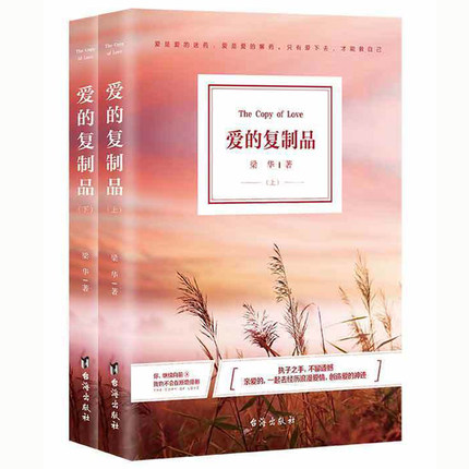 正版包邮 爱的复制品 上下册 多维度透视婚姻爱情感情 现代文学作品青春文学都市情感青春故事爱情言情小说芳华成人书畅销书籍