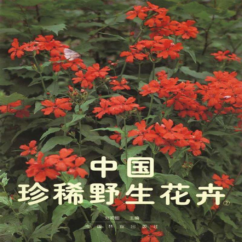 中国野生花卉:[图集]:2 刘初钿 野生植物花卉中国 自然科学书籍中国林业出版社