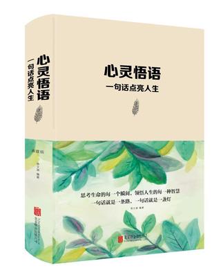 正版心灵感悟:一句话点亮人生宿文渊书店励志与成功北京联合出版公司书籍 读乐尔畅销书