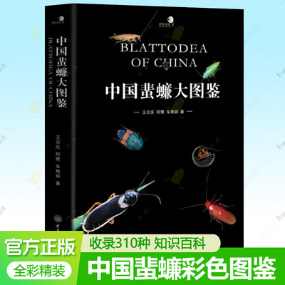 中国蜚蠊大图鉴王宗庆邱鹭