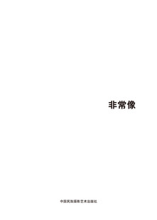 作品集作品赏析 王征 书籍 像 第五届中国济南摄影双年展学术成果
