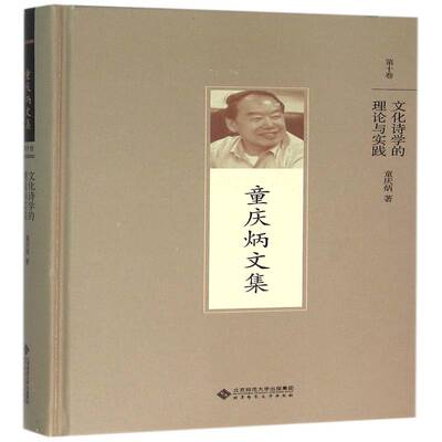 文化诗学的理论与实践 童庆炳   文学书籍北京师范大学出版社