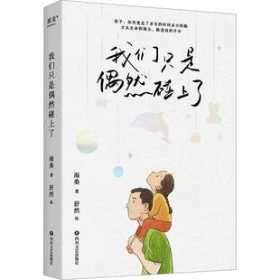 文学书籍正版 我们只是偶然碰上了 海桑