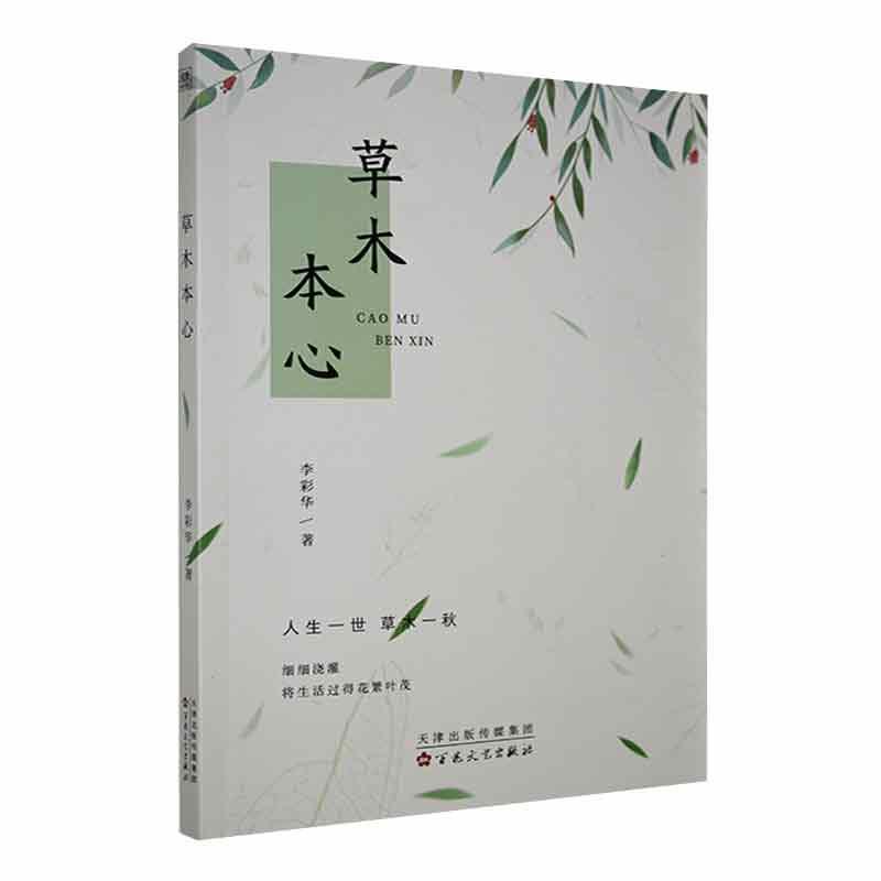 正版木本心李彩华书店文学百花文艺出版社书籍 读乐尔畅销书