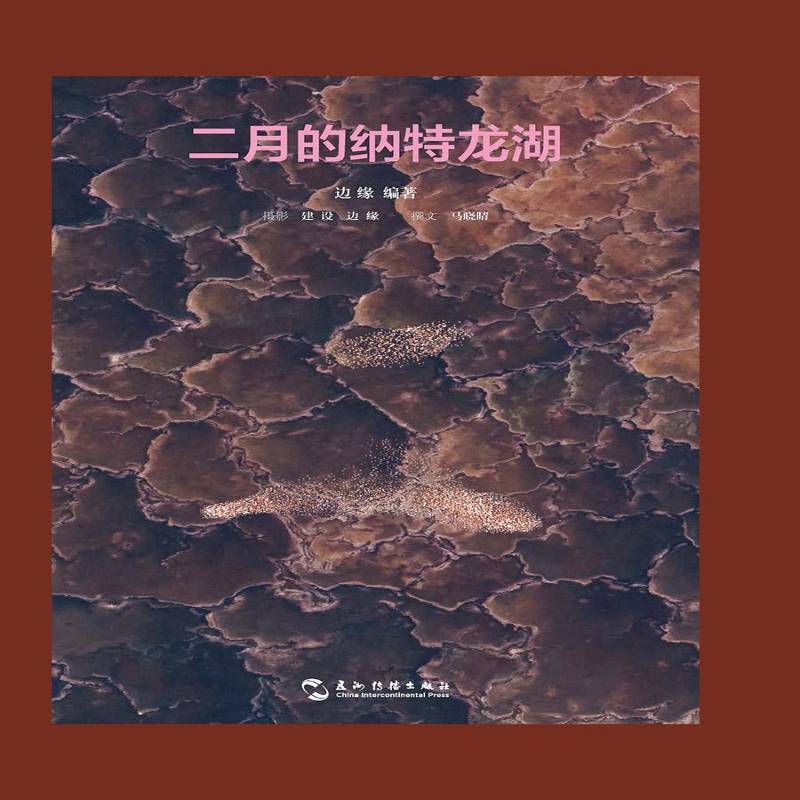 二月的纳特龙湖 边缘 摄影集中国现代 艺术书籍五洲传播出版社
