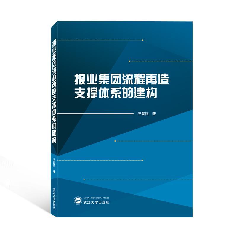 正版报业集团流程再造支撑体系的建构王朝阳书店社会科学武汉大学出版社书籍 读乐尔畅销书