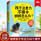 66个细节 素质教育 鲁鹏程 家庭教育正面管教孩子专注力育儿书籍 儿童教育 妈妈怎么办 培养孩子专注力 孩子注意力不集中