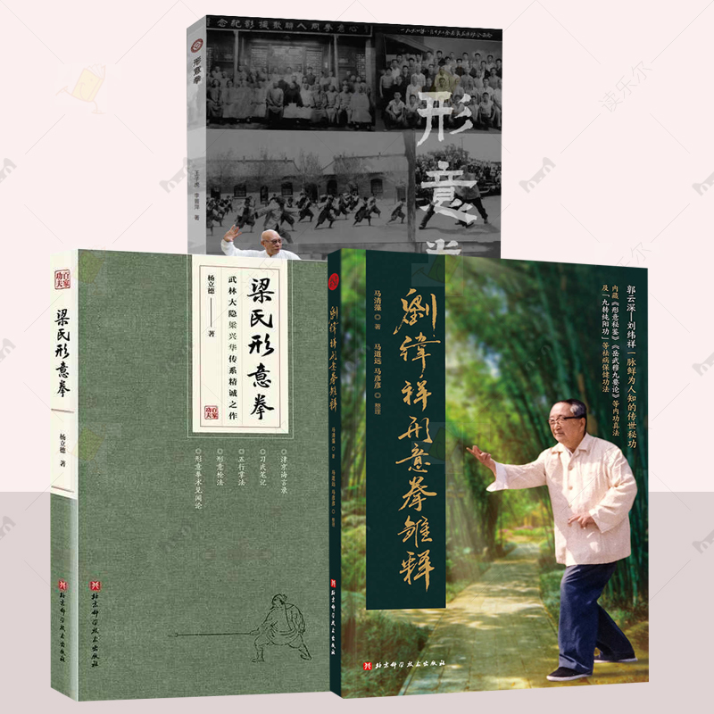 梁氏形意拳 武林大隐梁兴华传系精诚之作 武术形意拳教学 梁兴华初中高习拳教学步骤 形意拳五行拳形意枪法拳法北京科学技术出版社