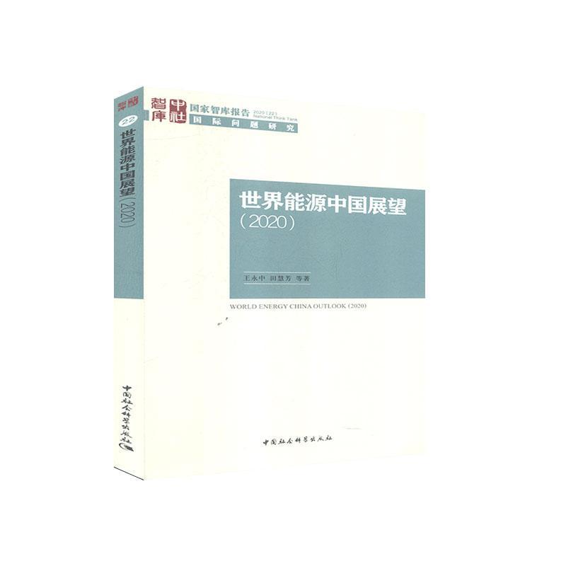 正版包邮能源中国展望:2020:2020永中书店经济中国社会科学出版社书籍读乐尔畅销书