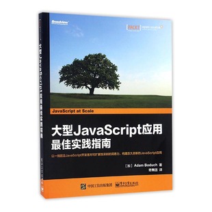 Java 大型JavaScript应用指南 书籍